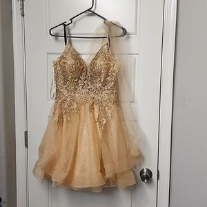 Quinceañera/ Prom Dress